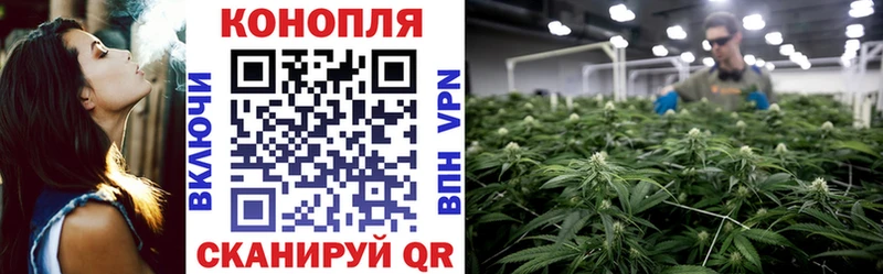 Магазин наркотиков Суджа Амфетамин mega ссылка Меф ГАШИШ Бошки Шишки
