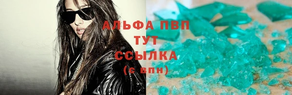 стаф Аркадак