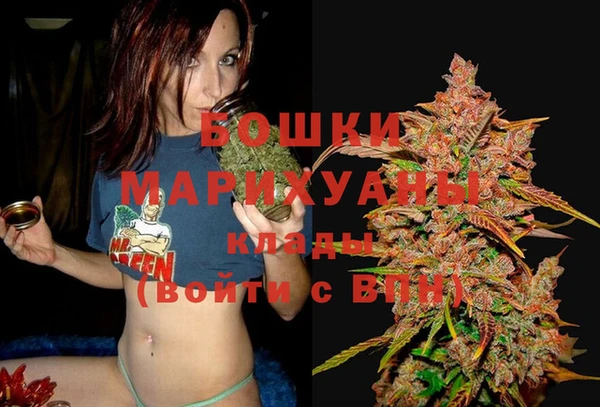 стаф Аркадак