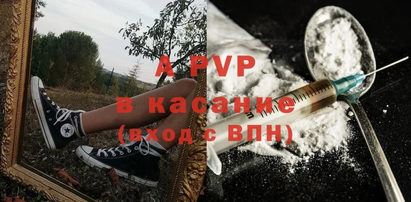 стаф Аркадак