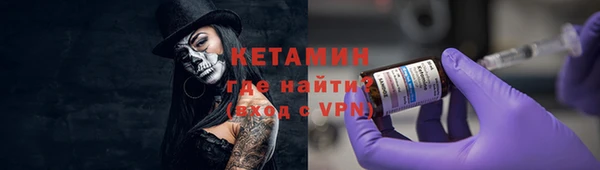 стаф Аркадак