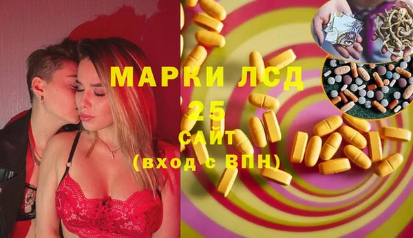 стаф Аркадак