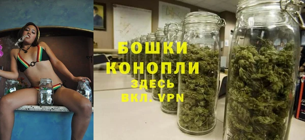не бодяженный Арсеньев