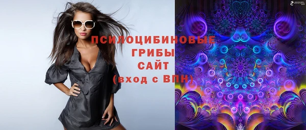 сатива Алексеевка