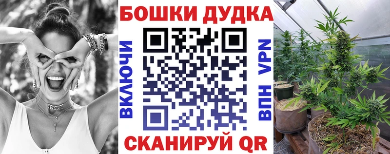 где можно купить наркотик Суджа MEGA Конопля AK-47